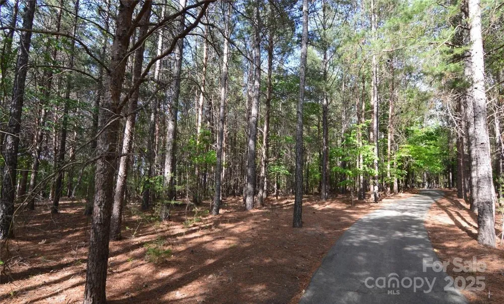 3213 Lake Pointe Drive Belmont, NC 28012
