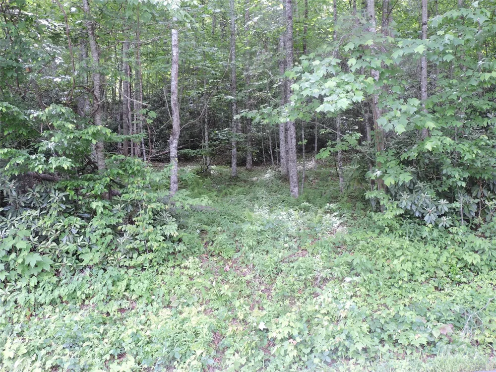 00 South Toe River Road #lot 2 Burnsville, NC 28714