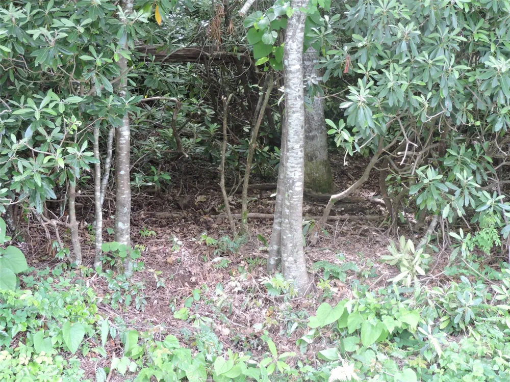 00 South Toe River Road #lot 2 Burnsville, NC 28714
