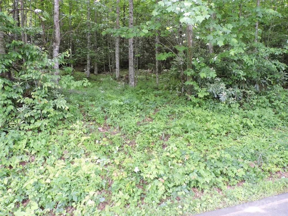 00 South Toe River Road #lot 3 Burnsville, NC 28714
