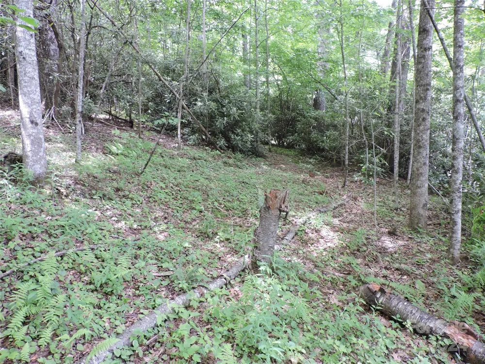 00 South Toe River Road #lot 3 Burnsville, NC 28714
