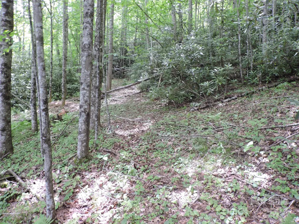 00 South Toe River Road #lot 3 Burnsville, NC 28714