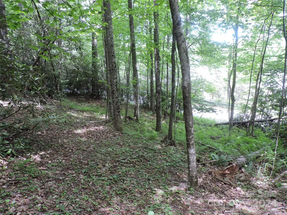 00 South Toe River Road #lot 3 Burnsville, NC 28714