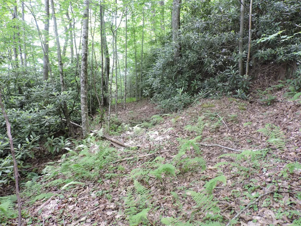 00 South Toe River Road #lot 3 Burnsville, NC 28714