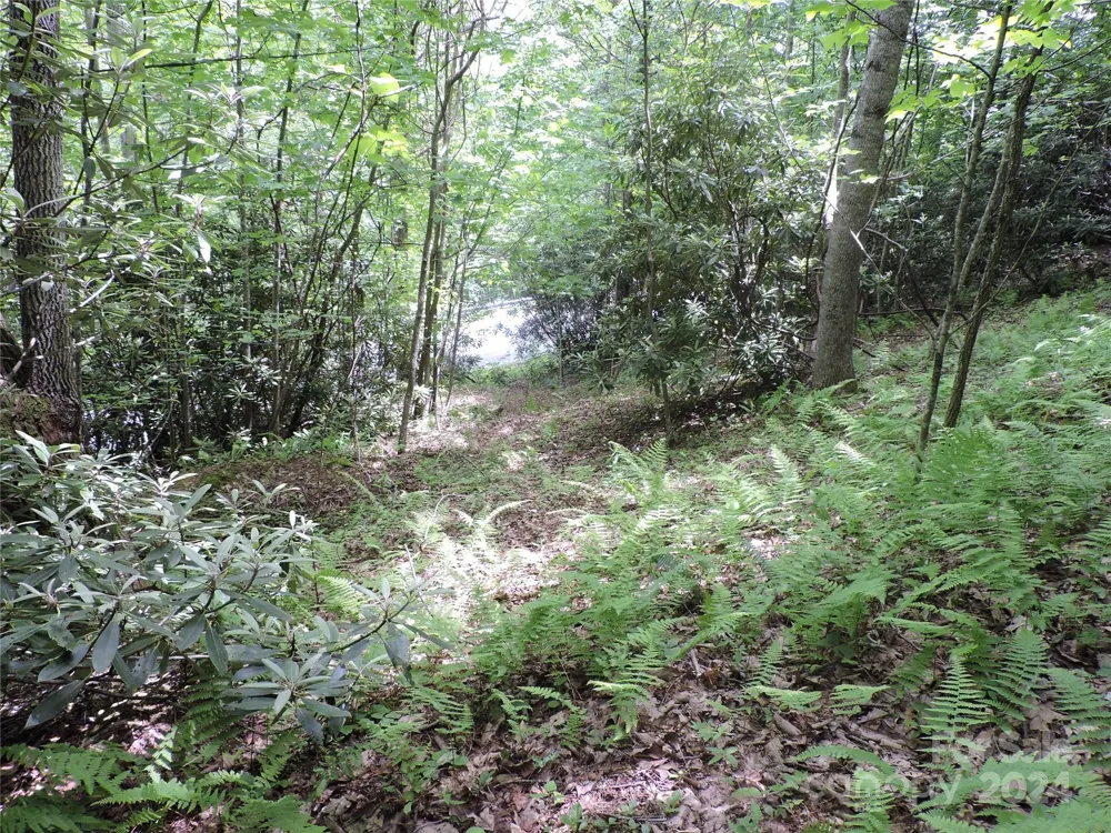 00 South Toe River Road #lot 3 Burnsville, NC 28714