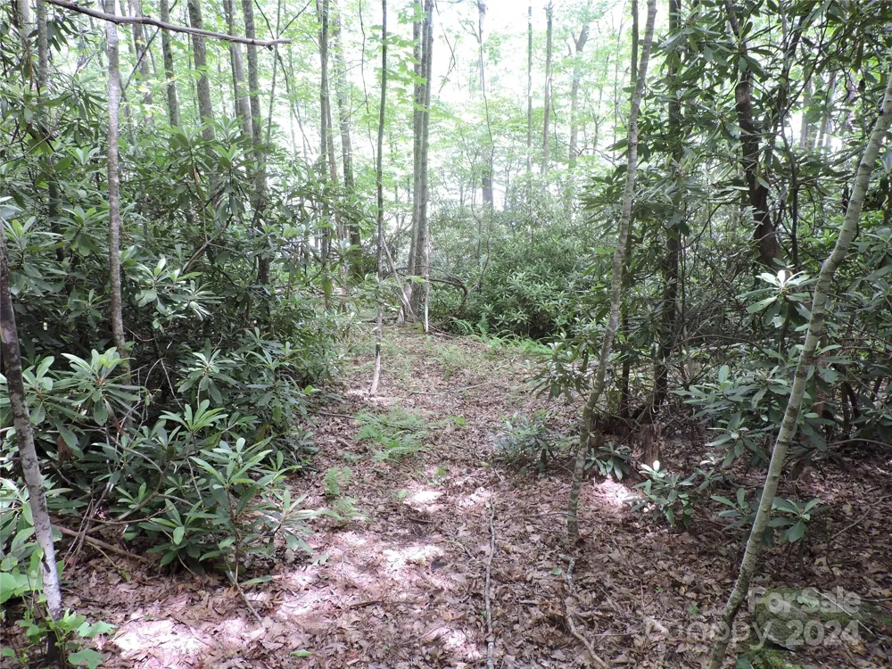 00 South Toe River Road #lot 3 Burnsville, NC 28714