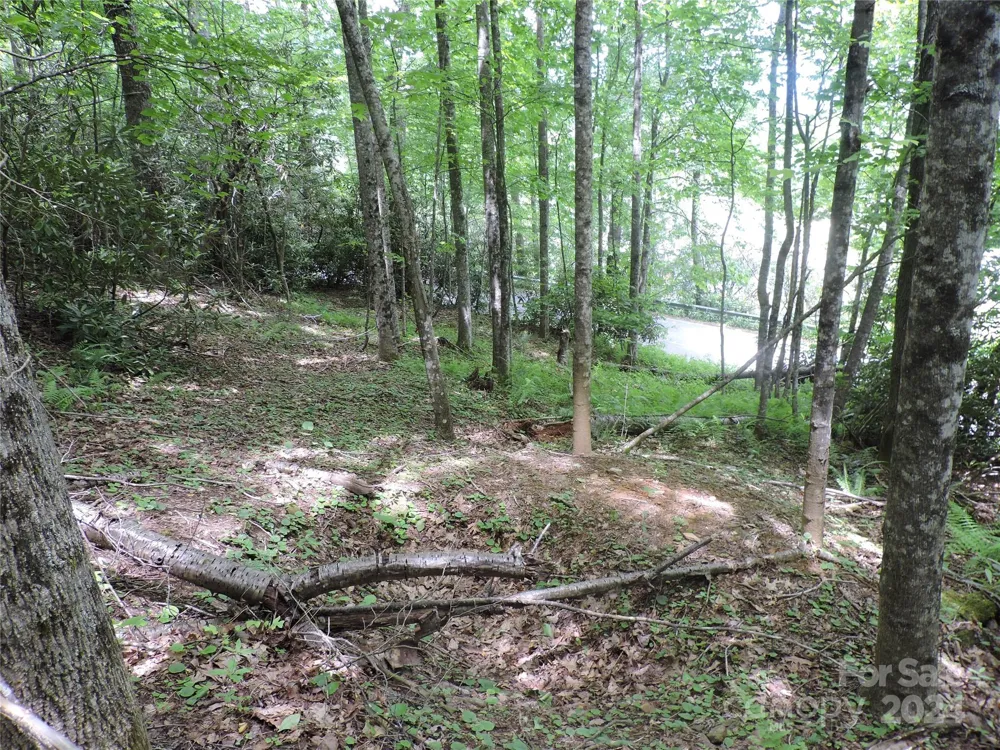 00 South Toe River Road #lot 3 Burnsville, NC 28714