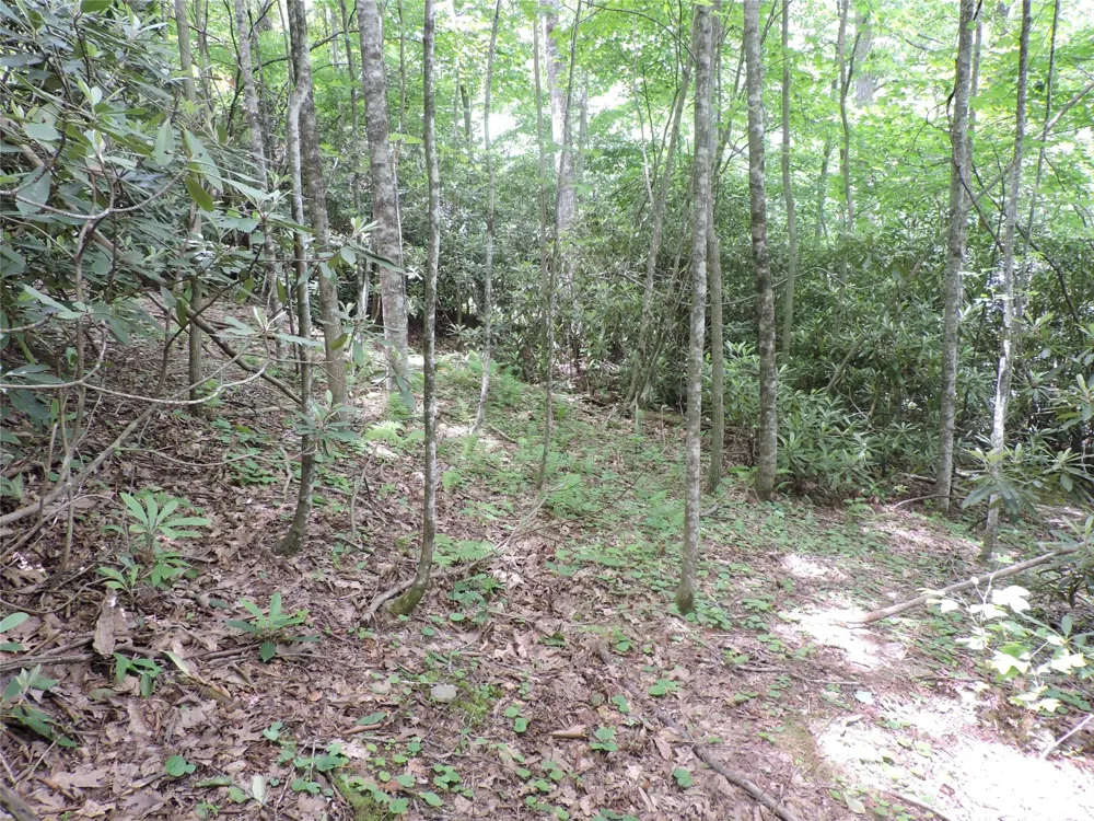 00 South Toe River Road #lot 3 Burnsville, NC 28714
