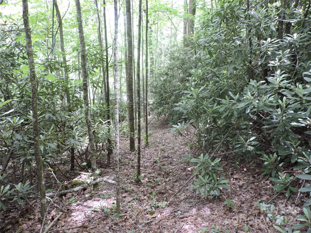 00 South Toe River Road #lot 3 Burnsville, NC 28714