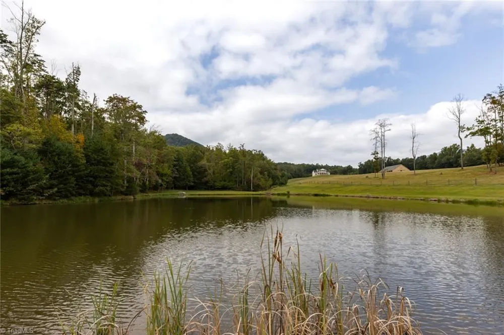 204 Violet Ridge Trail Lowgap, NC 27024