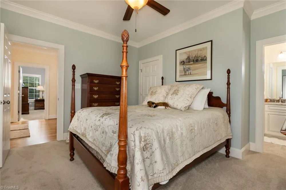 204 Violet Ridge Trail Lowgap, NC 27024