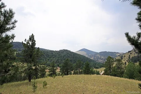 726 Copper Mountain Drive