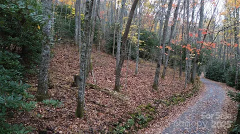 Lt 7 Buck Knob