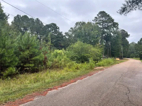 162 Lewis Loop