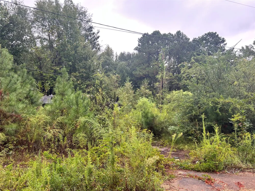 162 Lewis Loop Cotton Valley, LA 71018