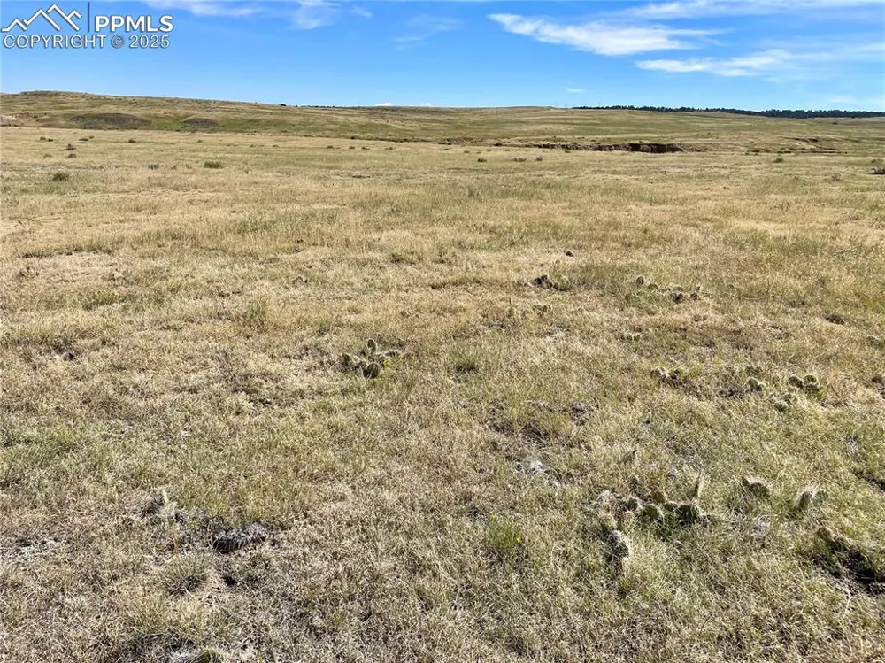 3 County Road 77 Calhan, CO 80808