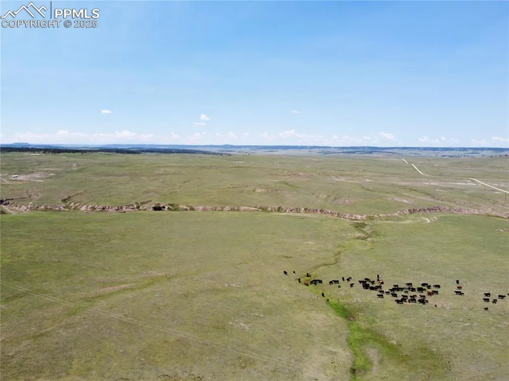 3 County Road 77 Calhan, CO 80808