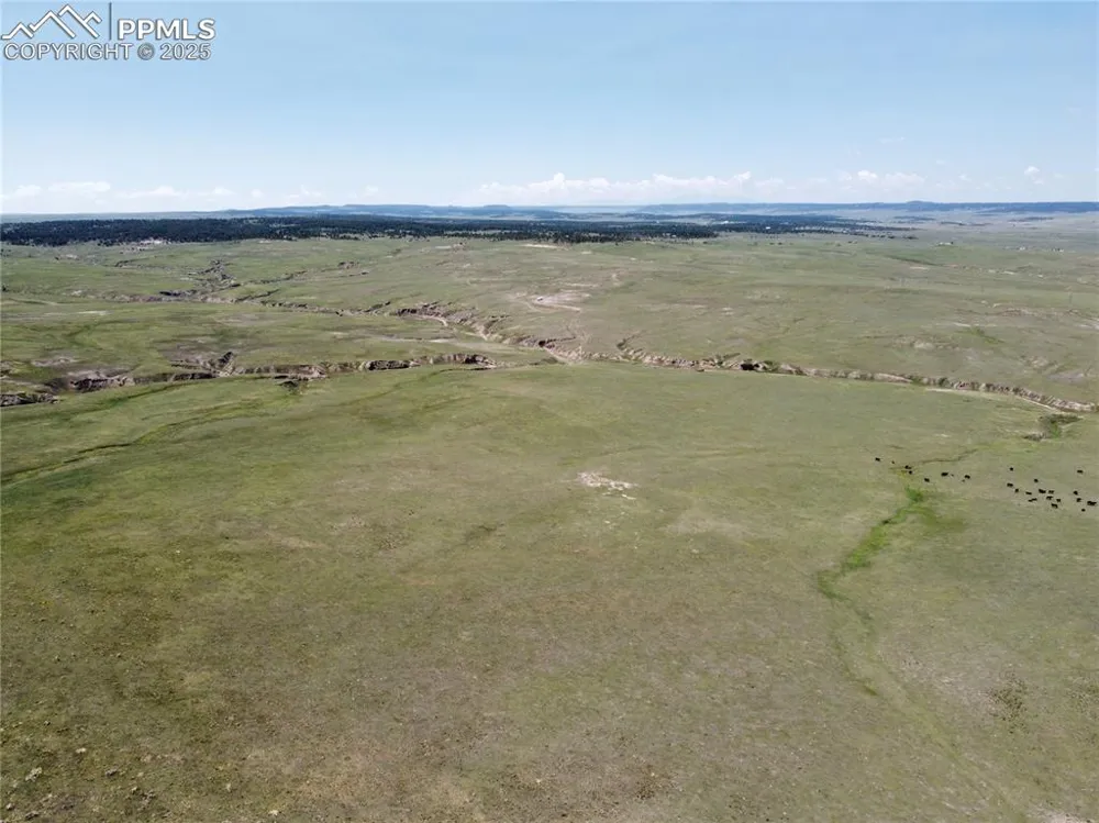 3 County Road 77 Calhan, CO 80808