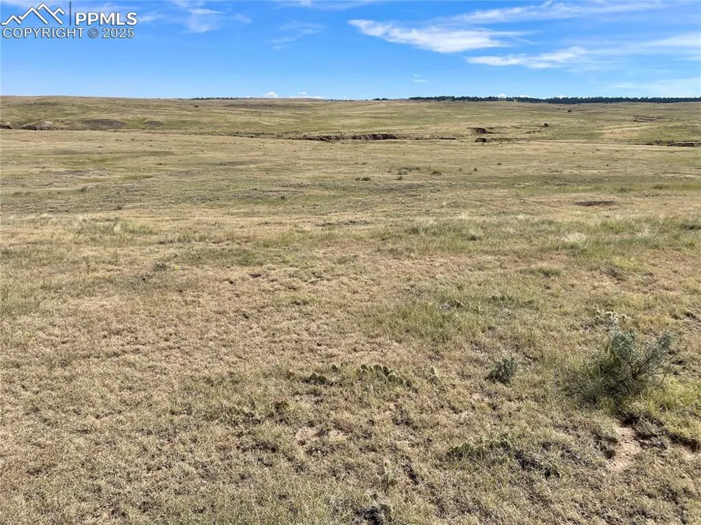 3 County Road 77 Calhan, CO 80808