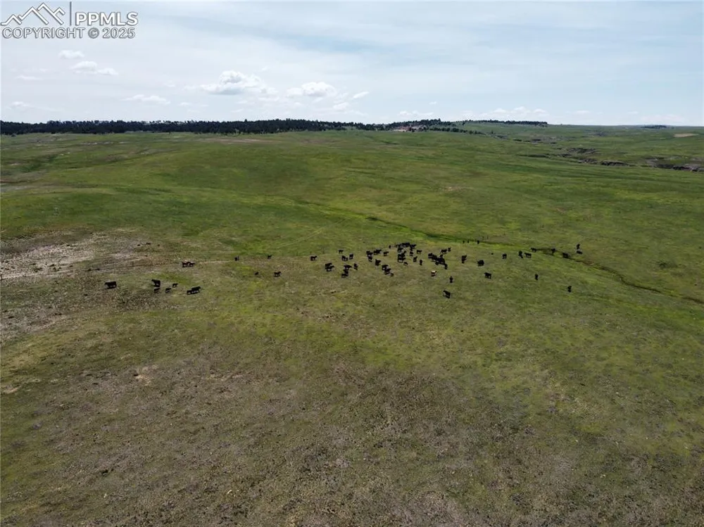 17 County Road 77 Calhan, CO 80808