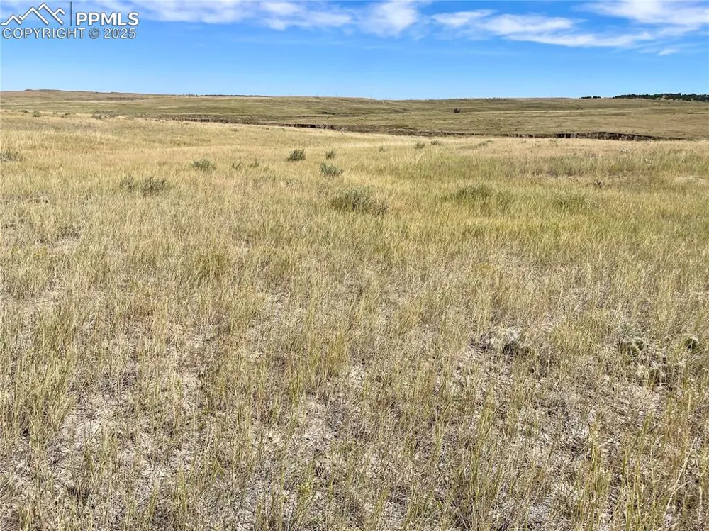 17 County Road 77 Calhan, CO 80808