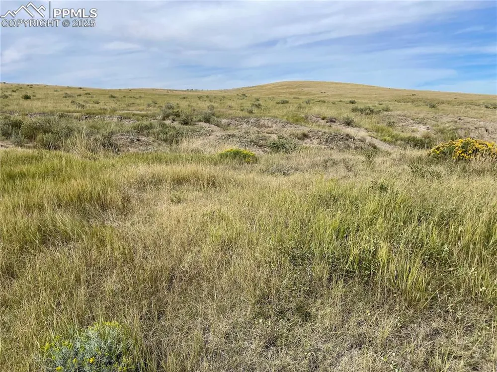 17 County Road 77 Calhan, CO 80808