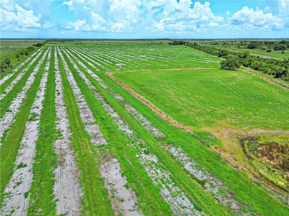 8495 COUNTY ROAD 621 Lorida, FL 33857