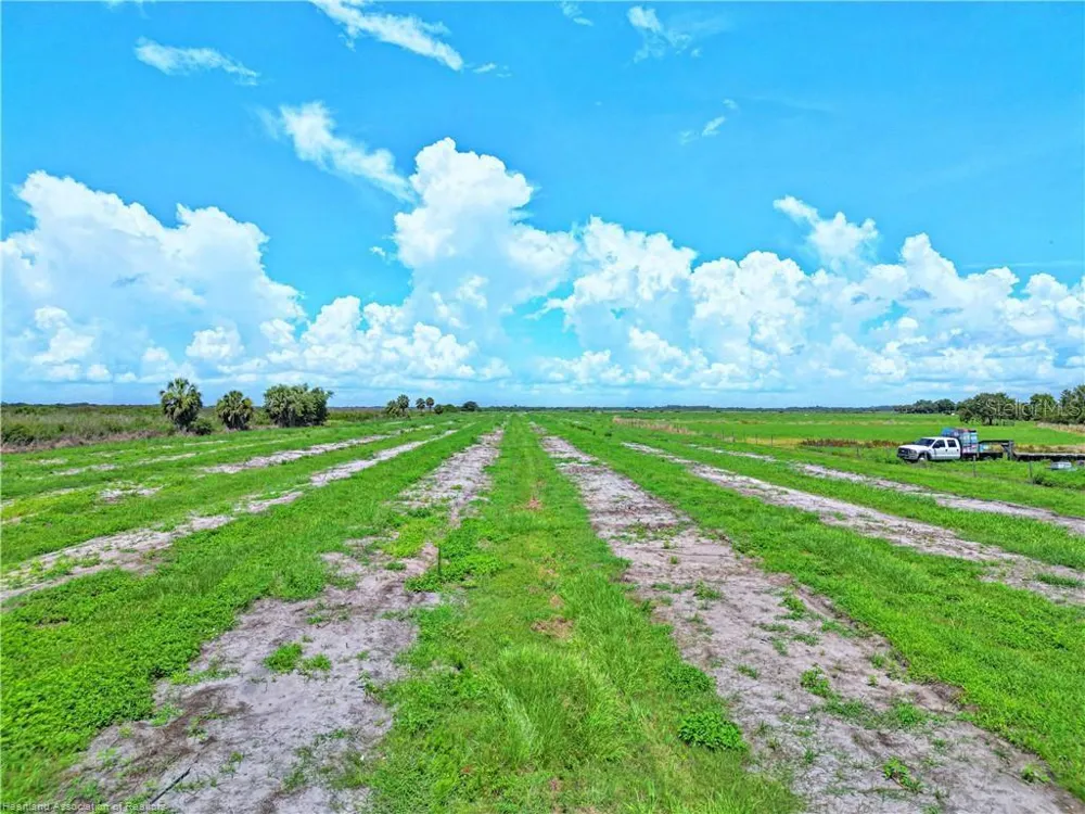 8495 COUNTY ROAD 621 Lorida, FL 33857