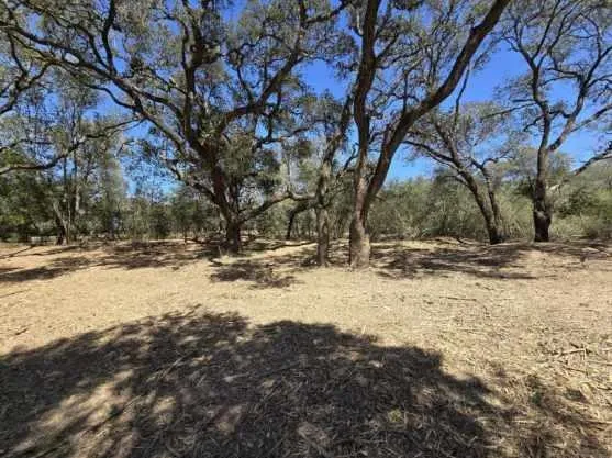 Tinkler Rock Island, TX 77470