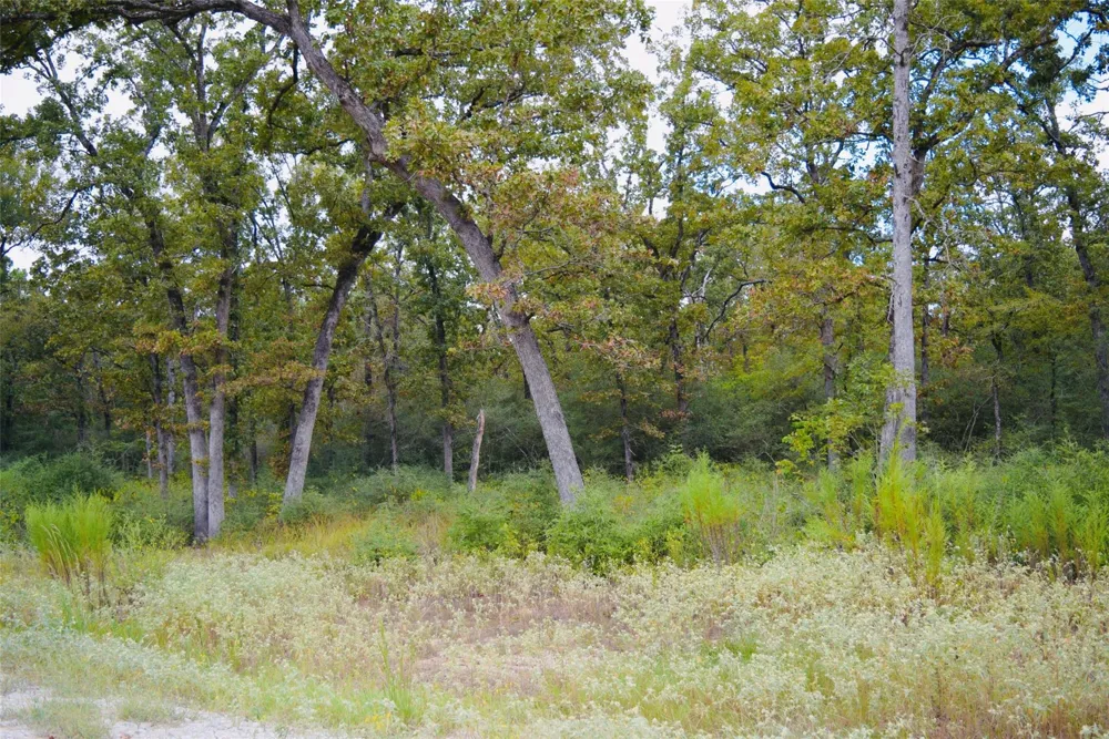 County Road 114 Centerville, TX 75833