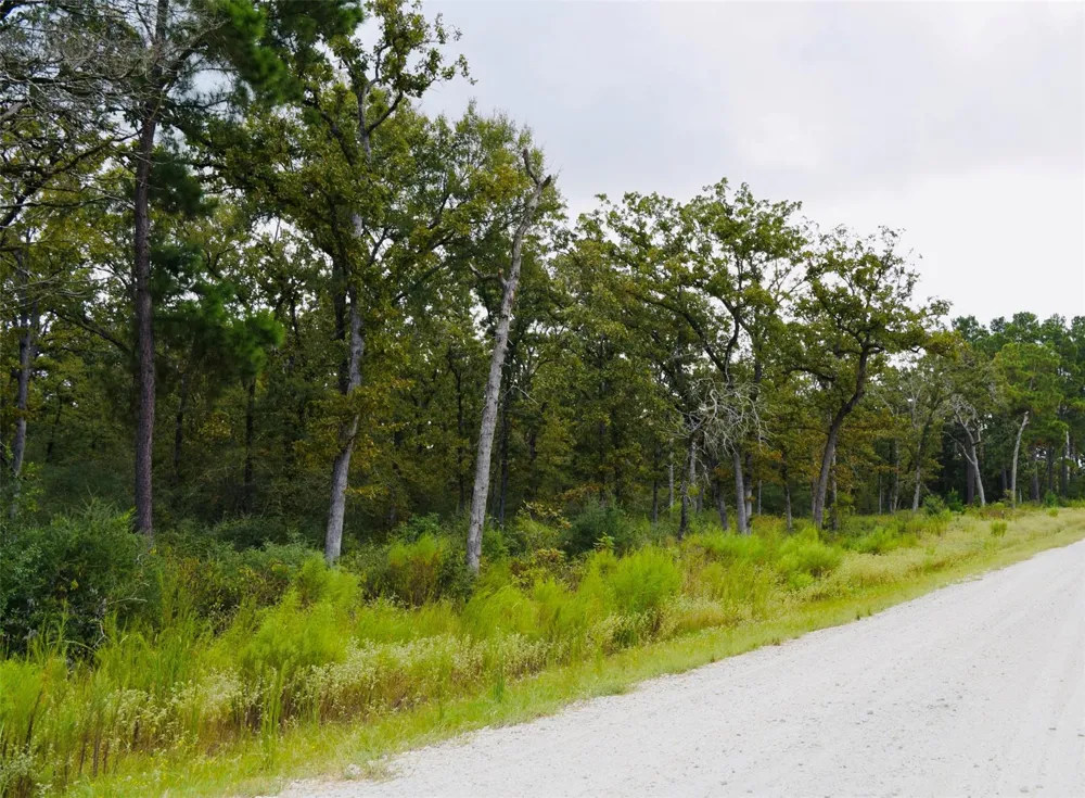 County Road 114 Centerville, TX 75833