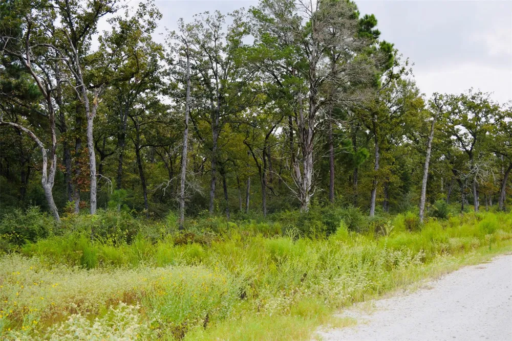 County Road 114 Centerville, TX 75833