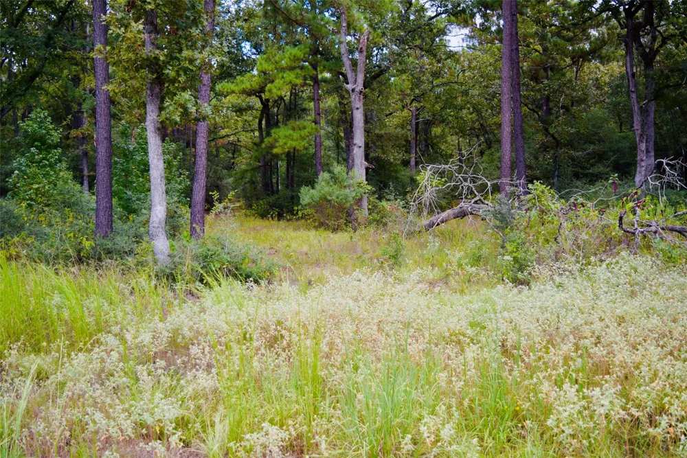 County Road 114 Centerville, TX 75833