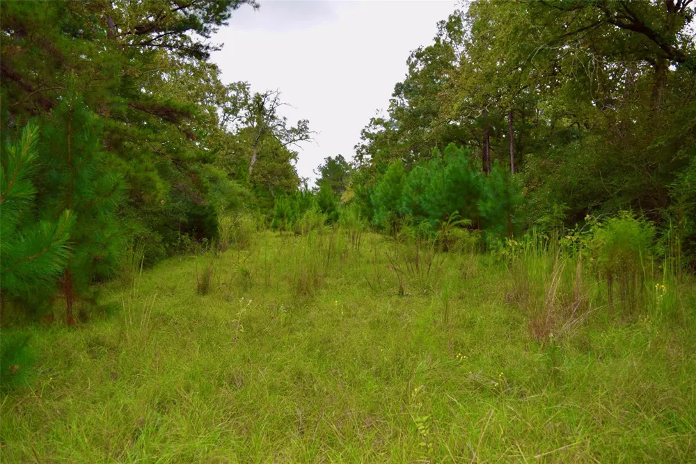 County Road 114 Centerville, TX 75833
