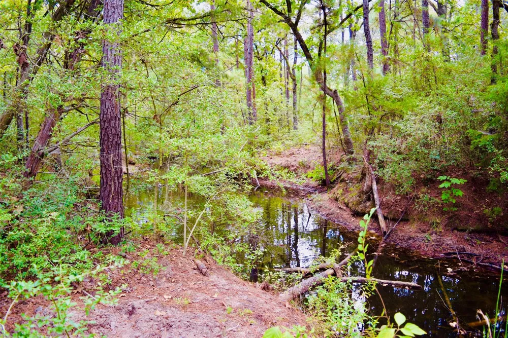 County Road 114 Centerville, TX 75833