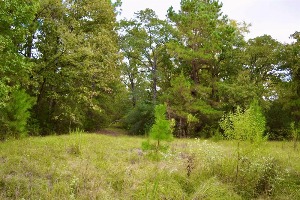 County Road 114 Centerville, TX 75833