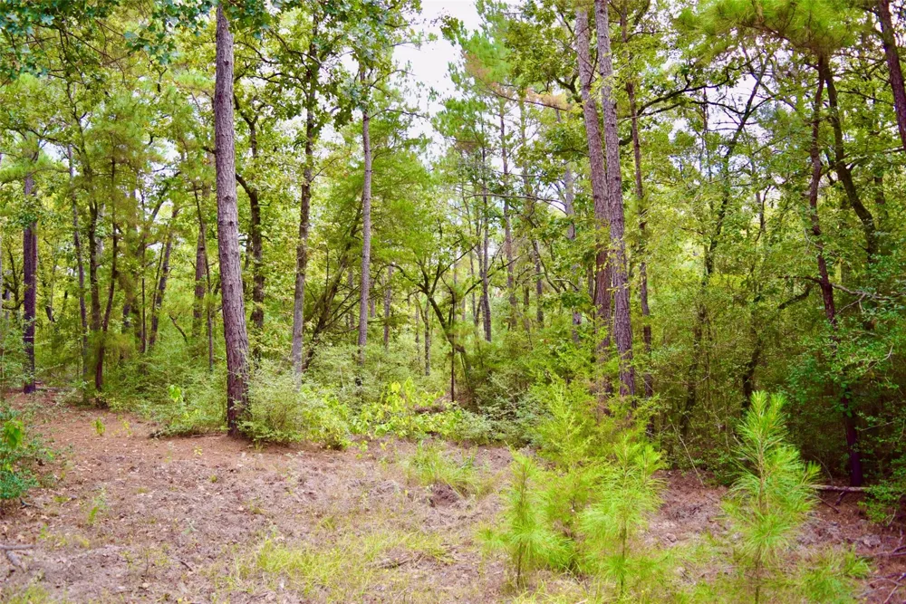 County Road 114 Centerville, TX 75833