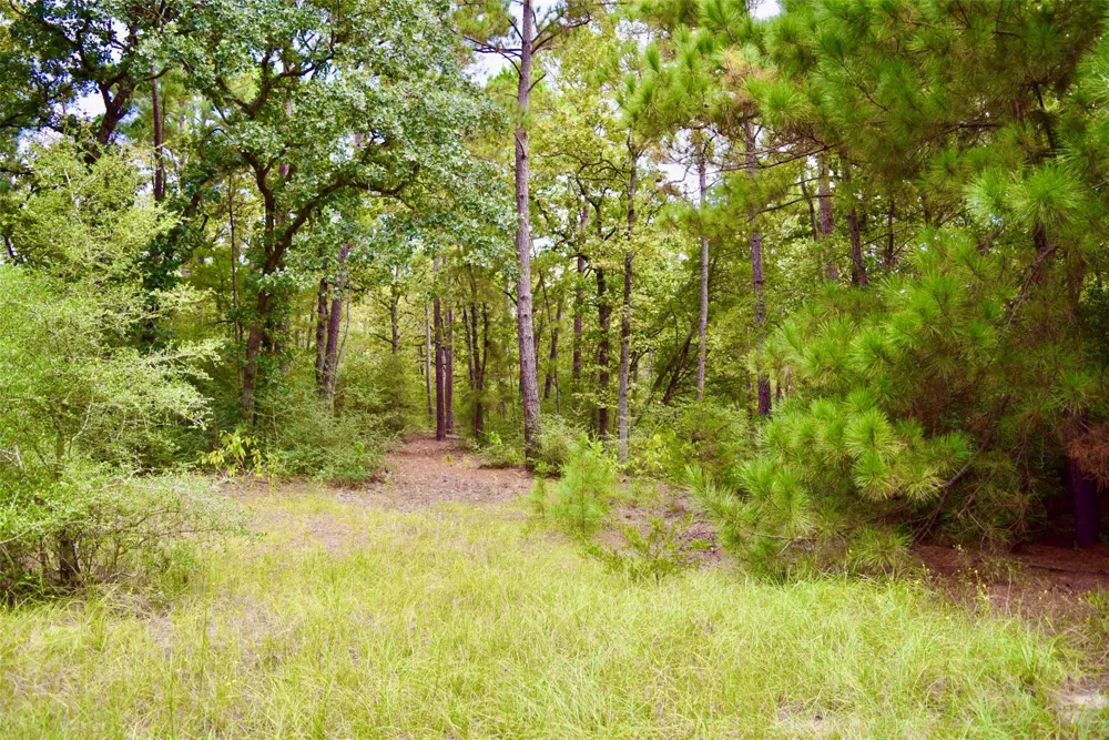County Road 114 Centerville, TX 75833