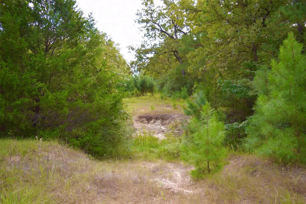 County Road 114 Centerville, TX 75833