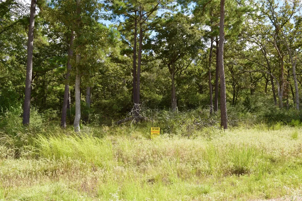 County Road 114 Centerville, TX 75833