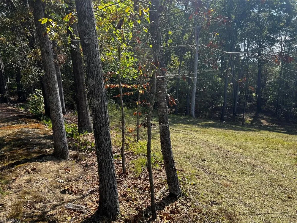 803 Birch Bark Lane Greensboro, NC 27455