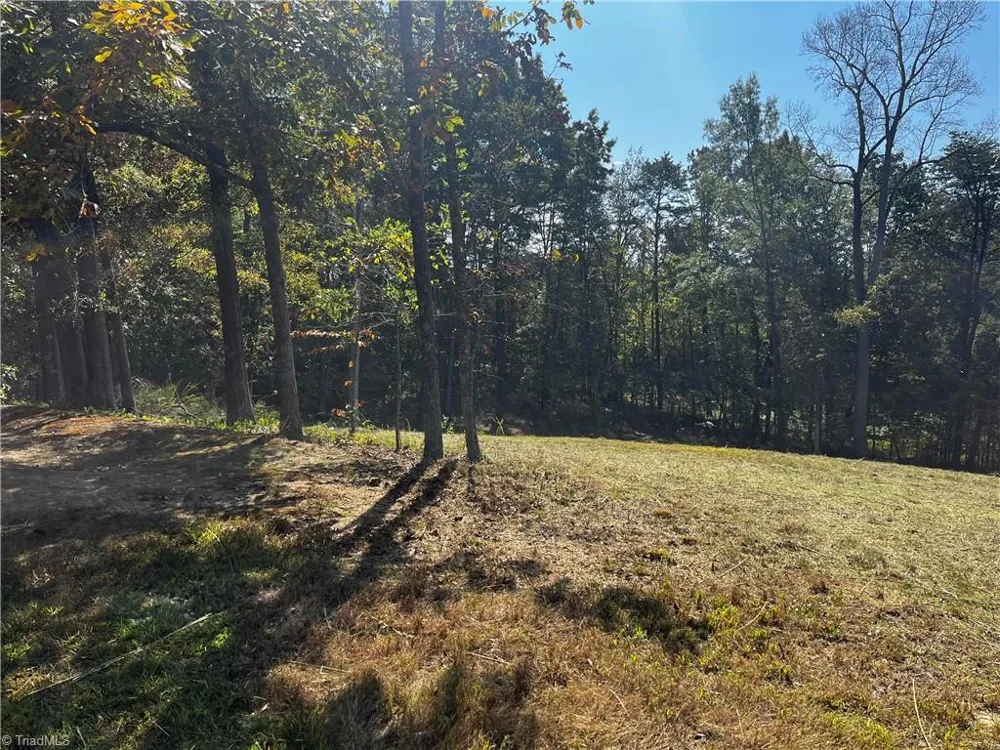 803 Birch Bark Lane Greensboro, NC 27455
