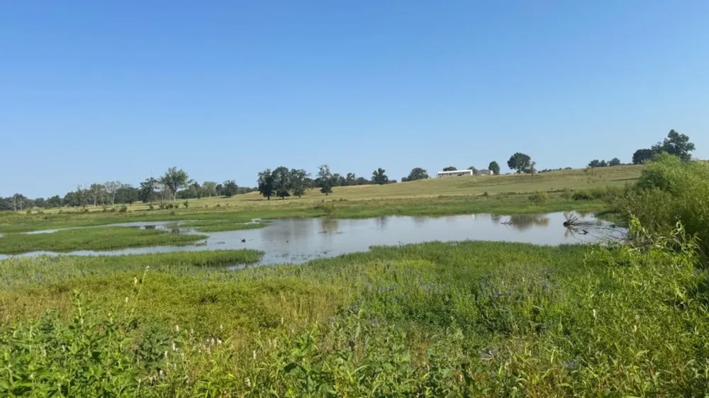 768 County Road 2220 Talco, TX 75487