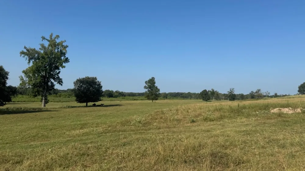 768 County Road 2220 Talco, TX 75487