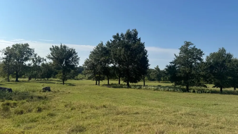 768 County Road 2220 Talco, TX 75487