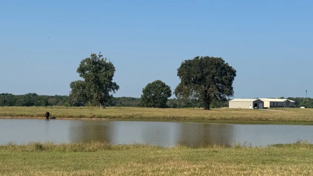 768 County Road 2220 Talco, TX 75487