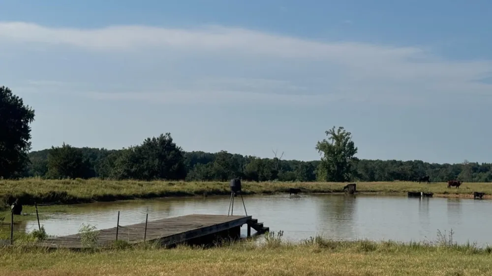 768 County Road 2220 Talco, TX 75487