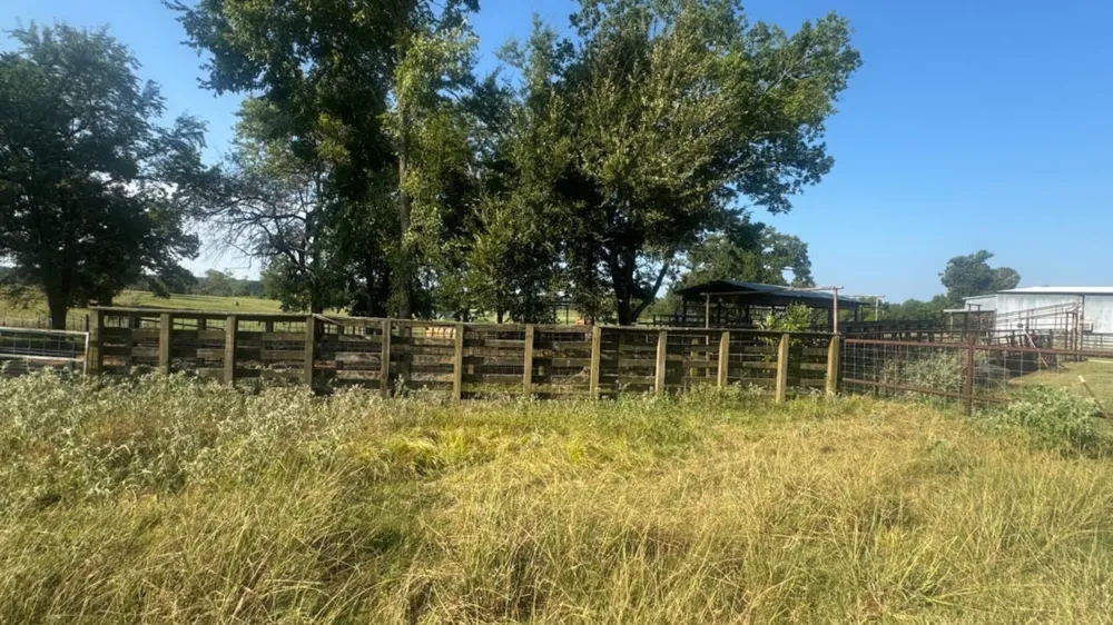 768 County Road 2220 Talco, TX 75487