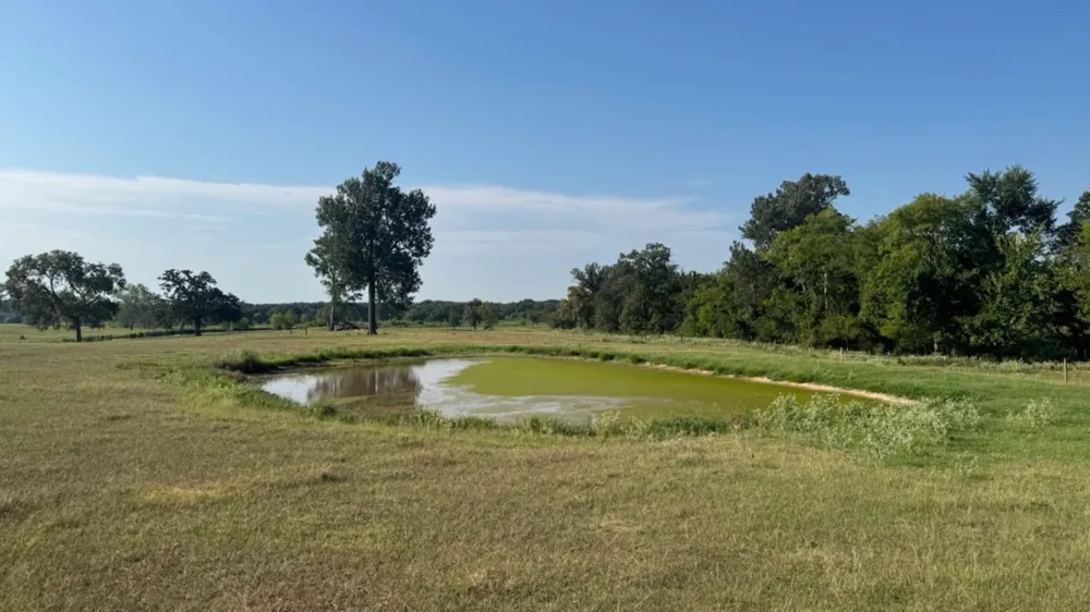 768 County Road 2220 Talco, TX 75487