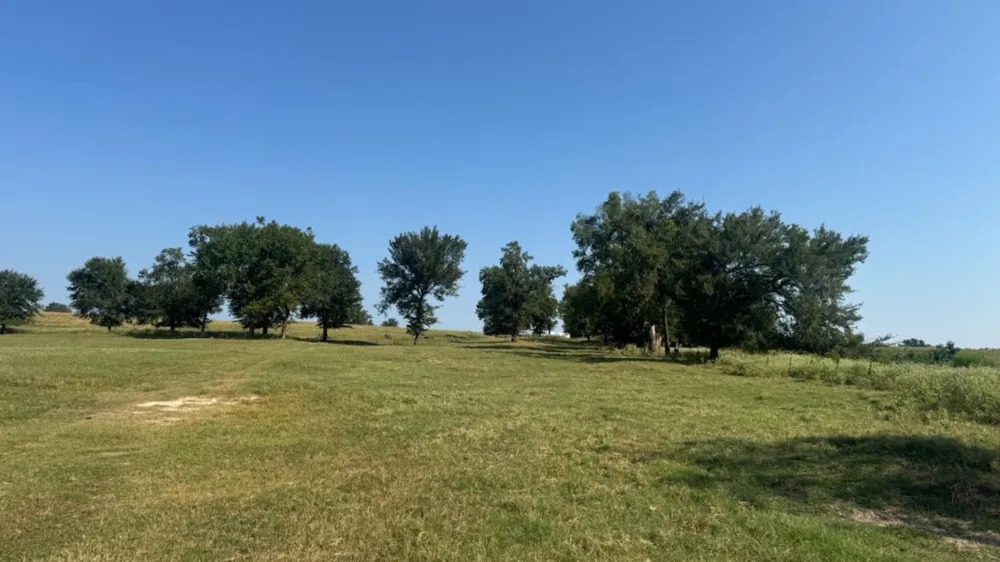768 County Road 2220 Talco, TX 75487